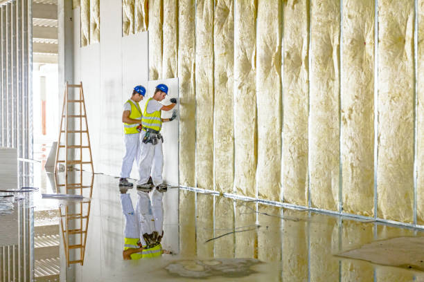 Best Cellulose Insulation in Monroe North, WA